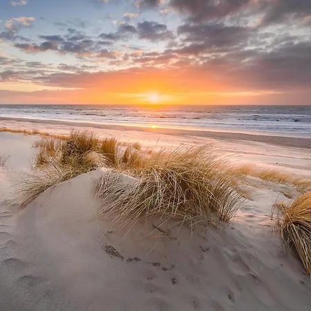 Tulip Marina - Garden Sauna Casa de Férias *